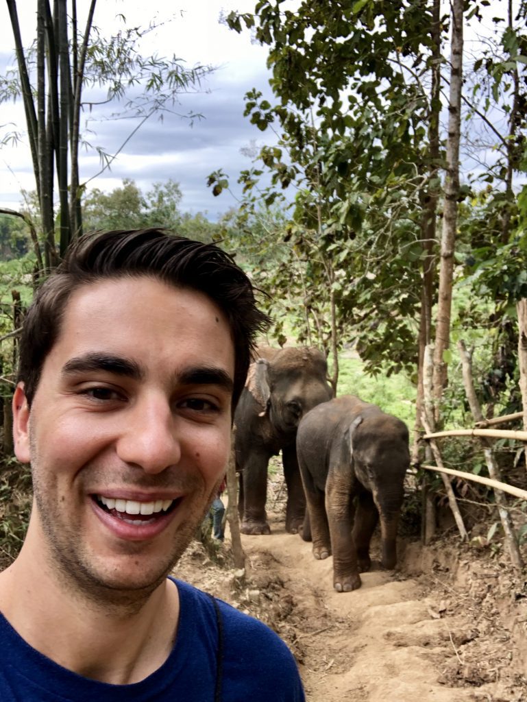 a man taking a selfie with two elephants
