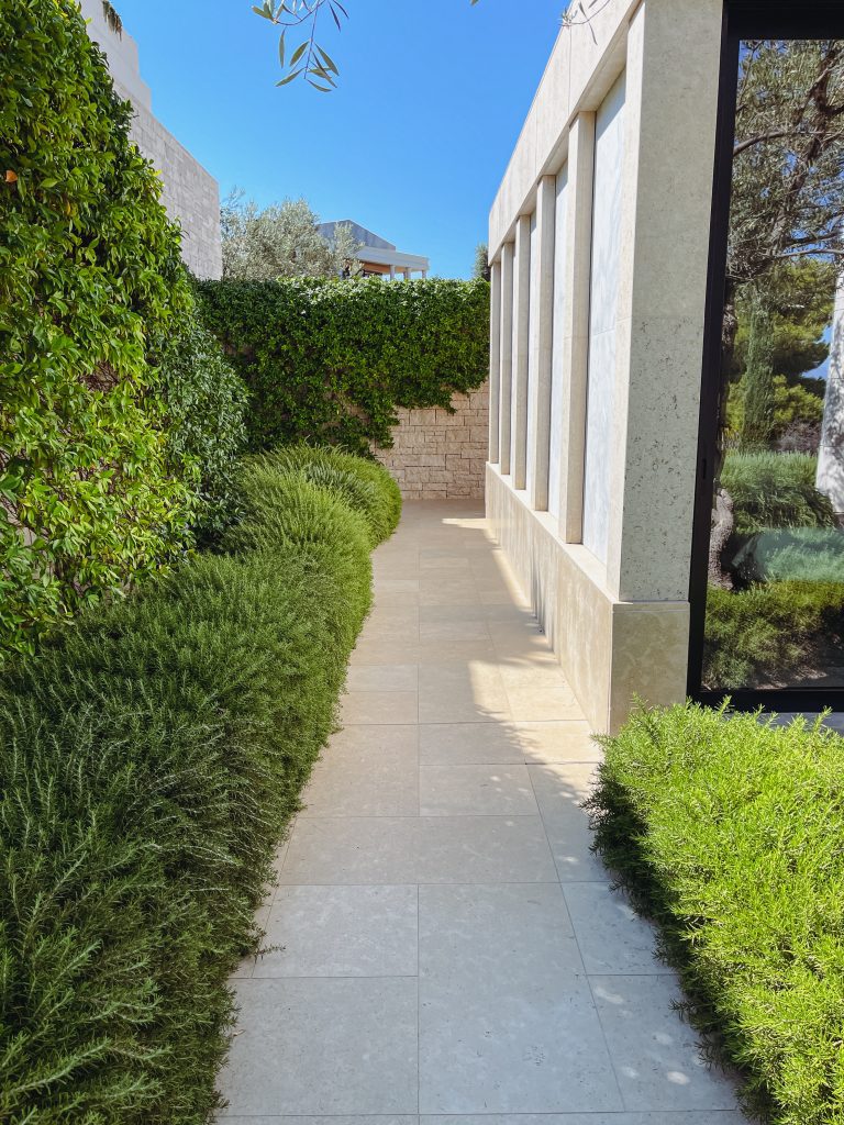 a walkway with bushes and a building