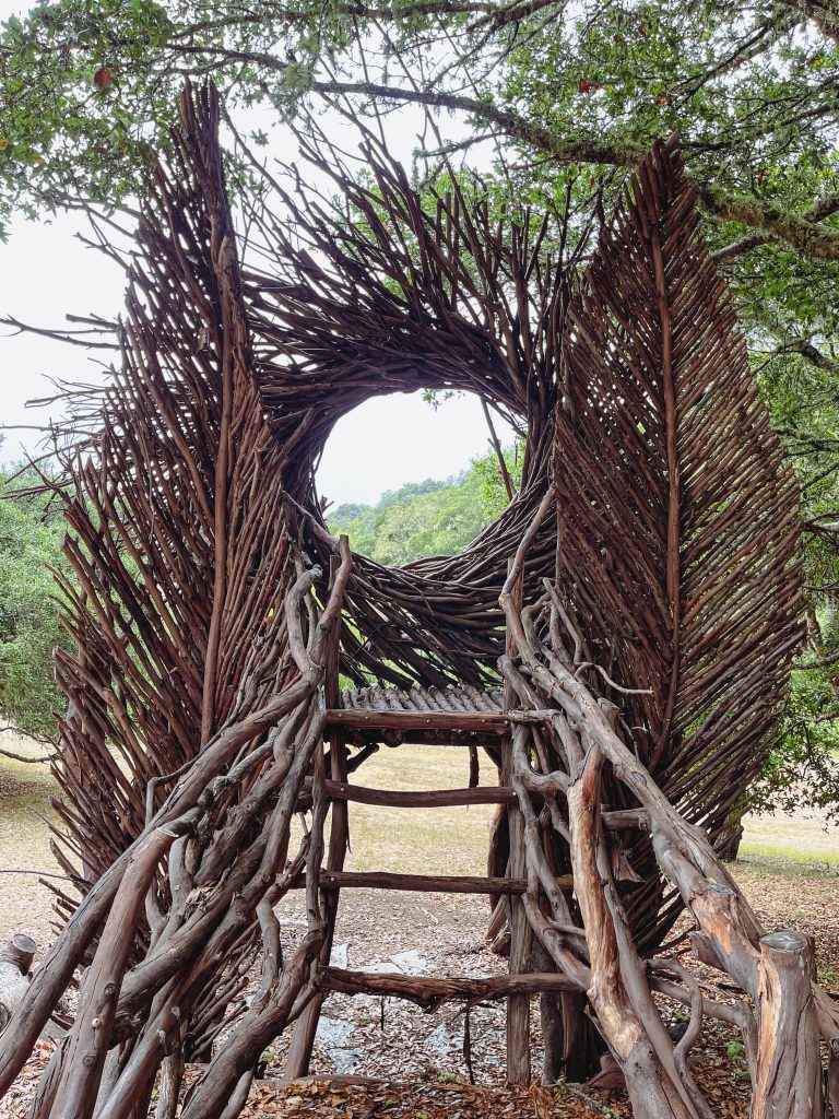 a structure made of sticks