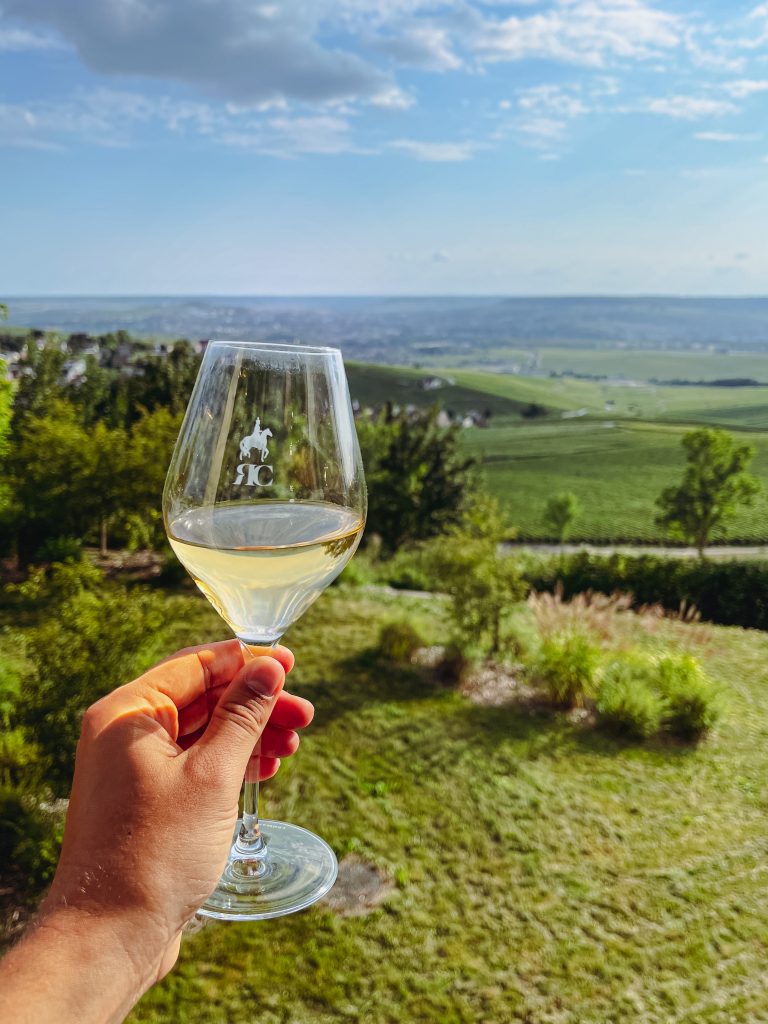 a hand holding a wine glass with a landscape in the background