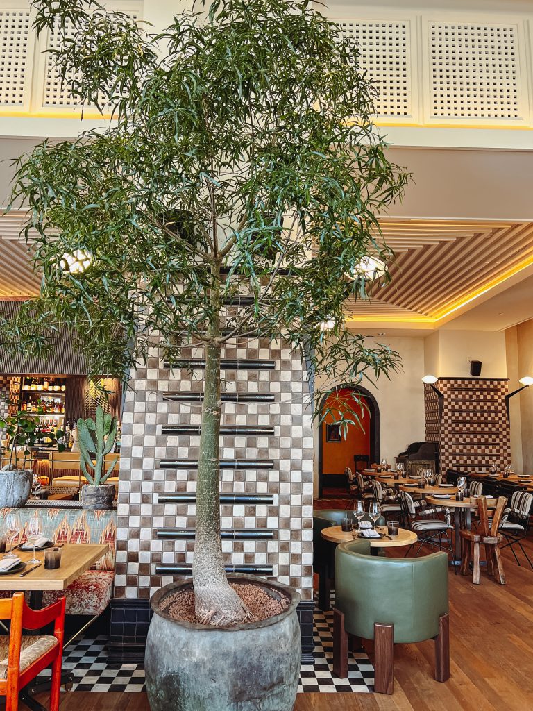 a tree in a pot in a restaurant
