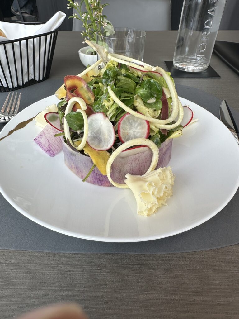 a plate of salad with cheese and vegetables