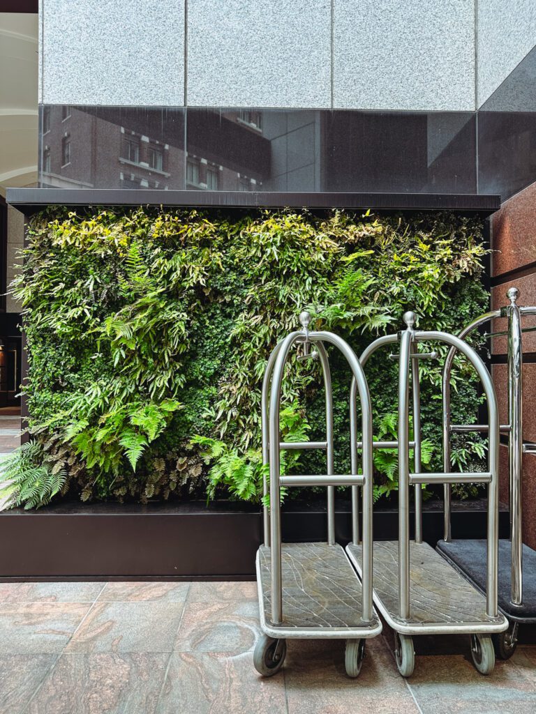a metal racks next to a wall of plants