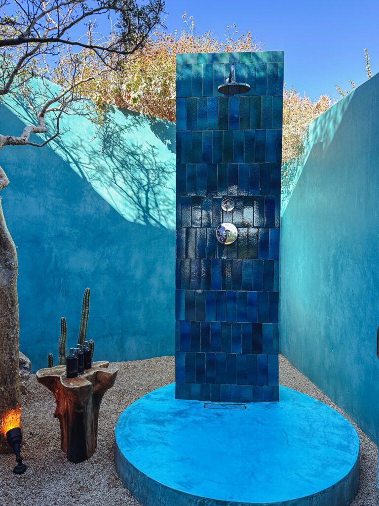 a blue shower outside with a tree and cactus