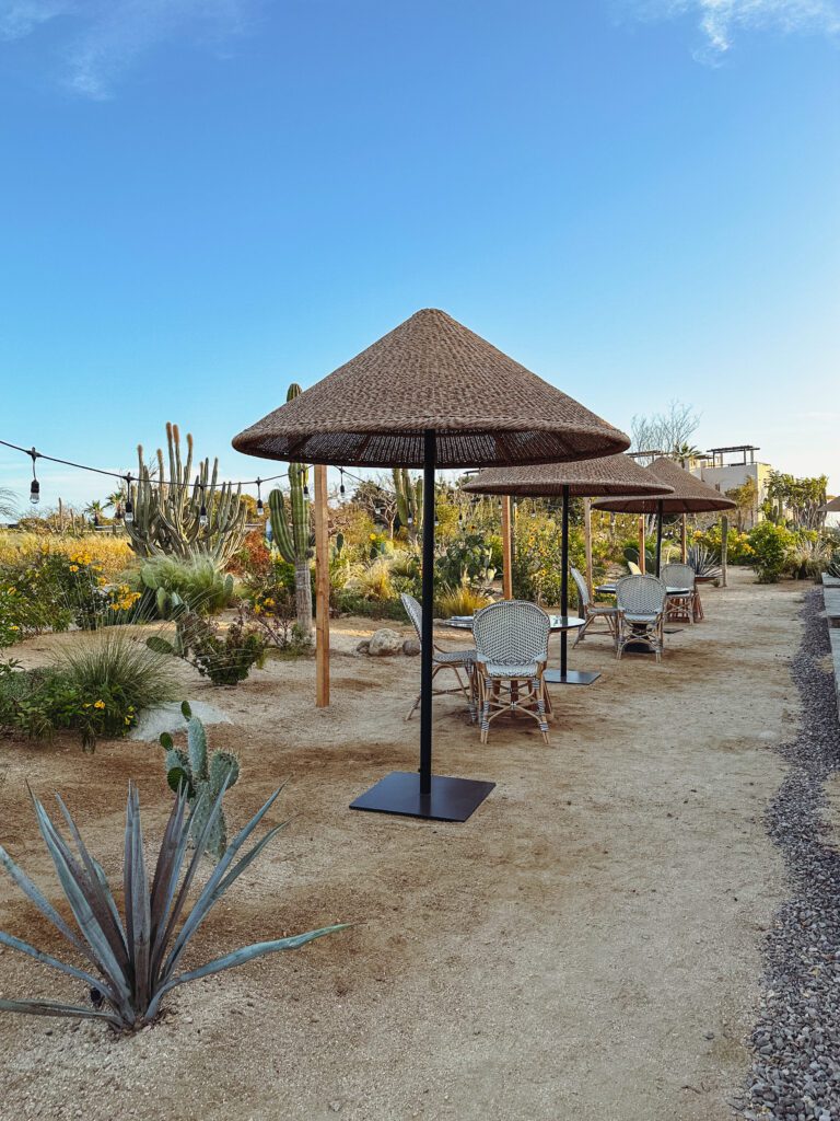 a group of chairs and umbrellas in a desert area