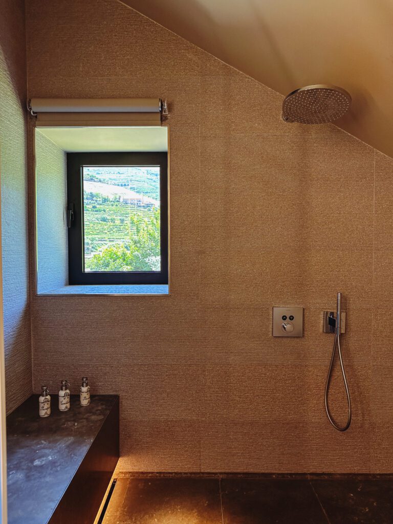 a shower with a window and a window