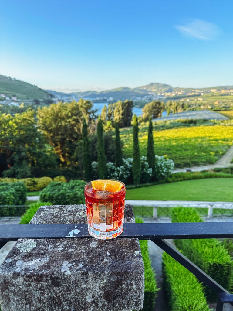a glass of red liquid with a slice of orange on a ledge overlooking a valley